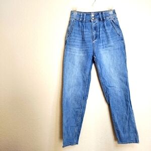 Anthropologie Pilcro high rise pleated straight leg jeans sz 25